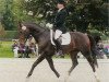 stallion Royal GZ (Swiss Warmblood, 1993, from Raimondo)