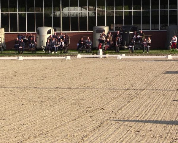Reitturnier Langenfeld - Gut Langfort 2022