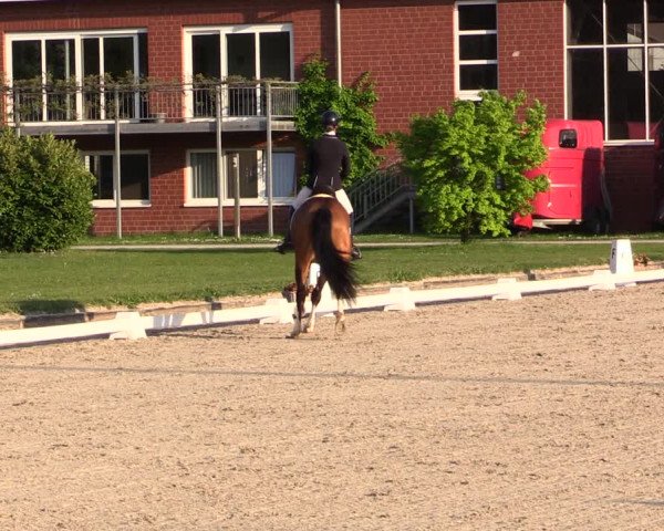 Reitturnier Langenfeld - Gut Langfort 2022