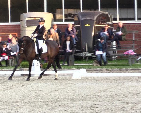 Reitturnier Langenfeld - Gut Langfort 2022