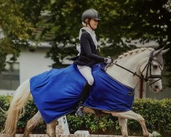 dressage horse Nanuc 3 (German Riding Pony, 2005, from Nuts)