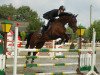 jumper Rocco di Papa 2 (Hanoverian, 1996, from Rabino)