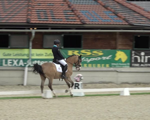 FEI Reitturnier St. Margarethen (AUT) 2022