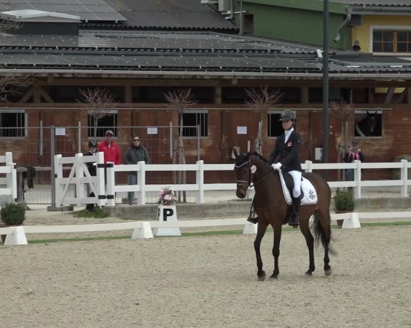 FEI Reitturnier St. Margarethen (AUT) 2022