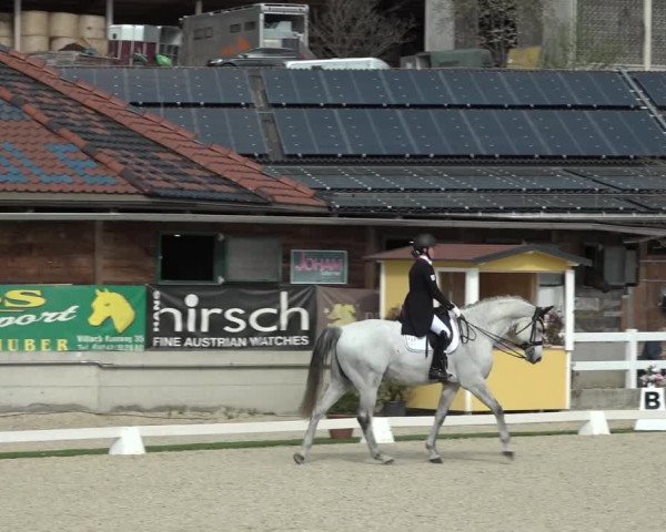 FEI Reitturnier St. Margarethen (AUT) 2022