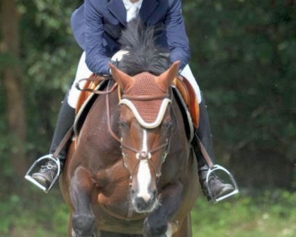 broodmare Capri (Oldenburg show jumper, 2003, from Come On)
