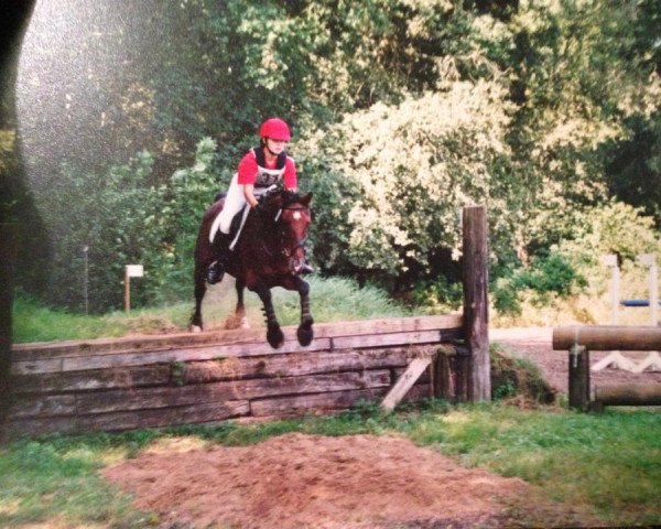 broodmare Pavenü (Saxony-Anhaltiner, 1996, from Pavarotti van de Helle)