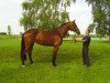 broodmare Chandela (Mecklenburg, 2008, from Champion de Cord)