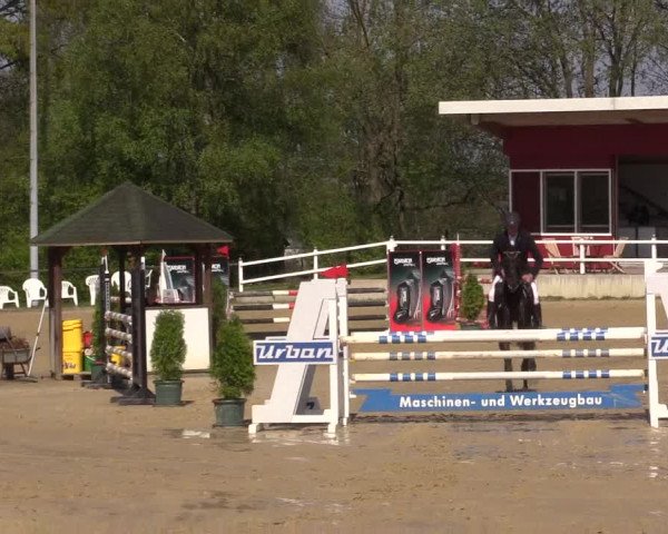 Reitturnier Spenge - Wallenbrück 2022