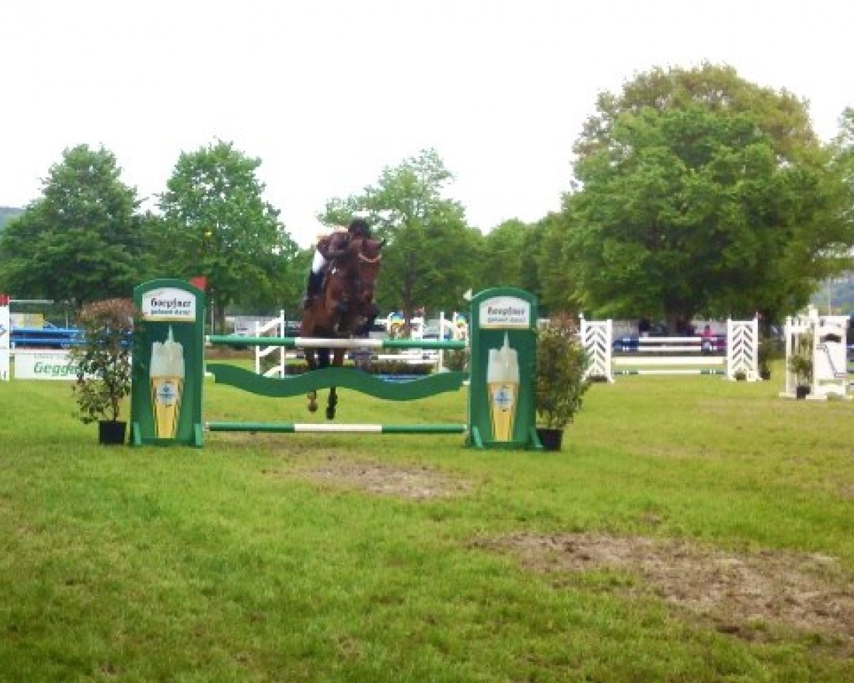 jumper Armstrong 36 (Oldenburg show jumper, 2005, from Amman)
