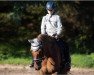 jumper Al Bundy 60 (German Riding Pony, 2010, from Allbrighton)