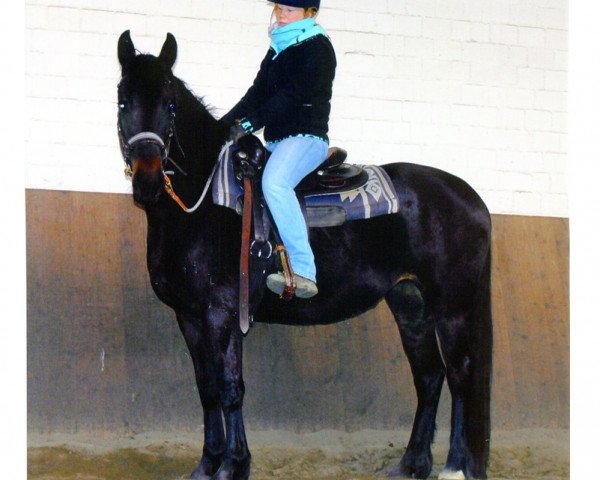 broodmare Ottilie (Pinto / Small Riding Horse, 2009, from Otje)