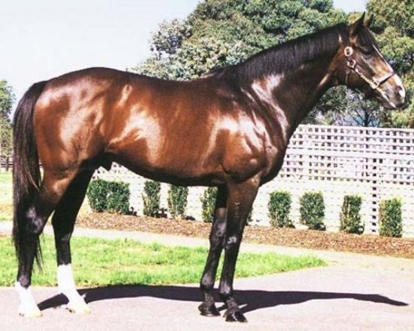 stallion Johan Cruyff xx (Thoroughbred, 1994, from Danehill xx)