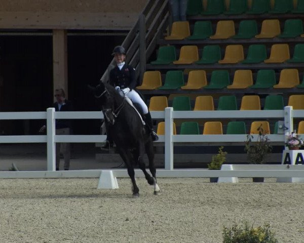 FEI Reitturnier St. Margarethen (AUT) 2022