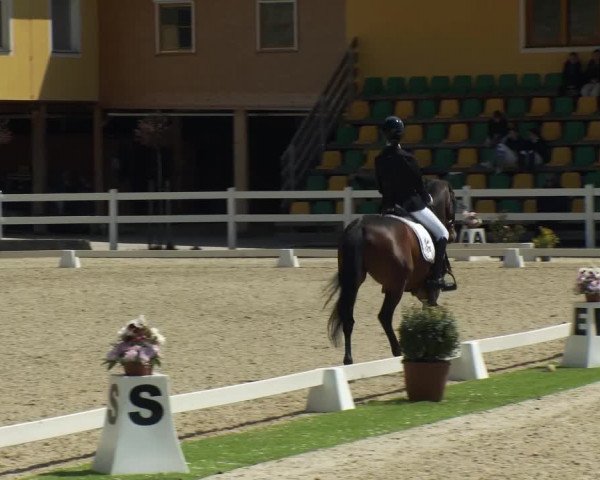 FEI Reitturnier St. Margarethen (AUT) 2022