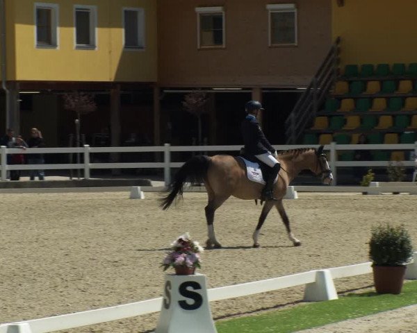 FEI Reitturnier St. Margarethen (AUT) 2022