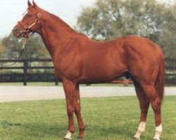 stallion General Assembly xx (Thoroughbred, 1976, from Secretariat xx)