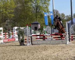 jumper Orvin (Hanoverian, 2018, from Ogano)