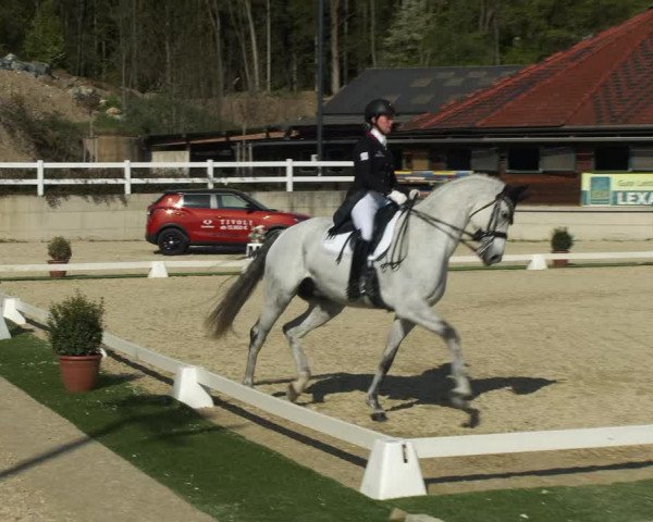 FEI Reitturnier St. Margarethen (AUT) 2022
