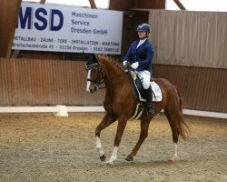 dressage horse Alma Lucia (German Sport Horse, 2007, from Denekas)