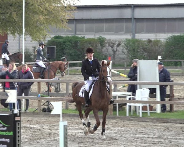 Reitturnier Hildesheim-Steuerwald 2022