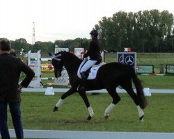 dressage horse London Dream 3 (Hanoverian, 2009, from Londontime)