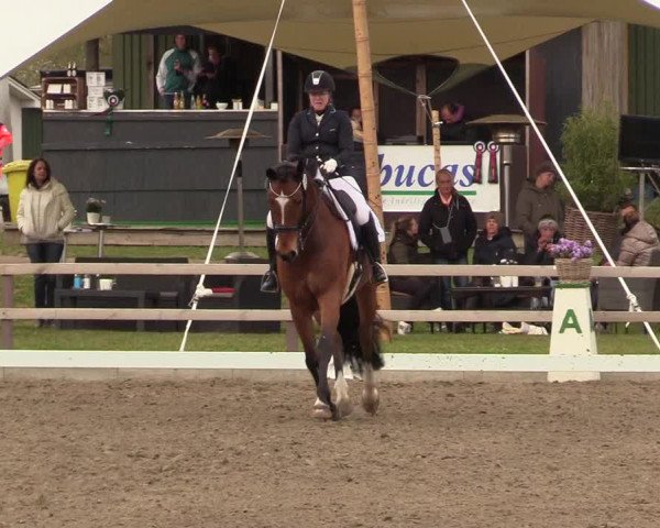 Reitturnier Kleinsolt 2022