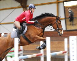 dressage horse Ricciones Rubinion (German Sport Horse, 2004, from Riccione)