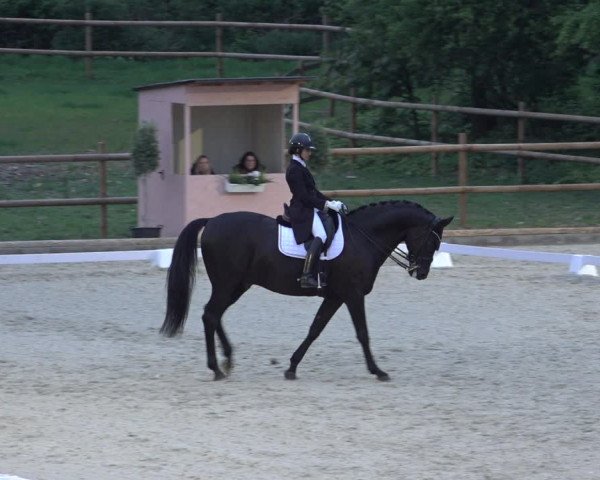 FEI Reitturnier Troisdorf (GER) 2022