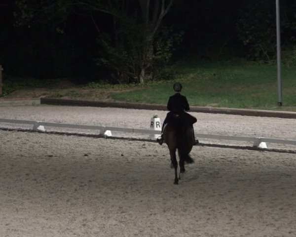 FEI Reitturnier Troisdorf (GER) 2022