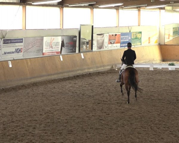 Reitturnier Hildesheim-Steuerwald 2022