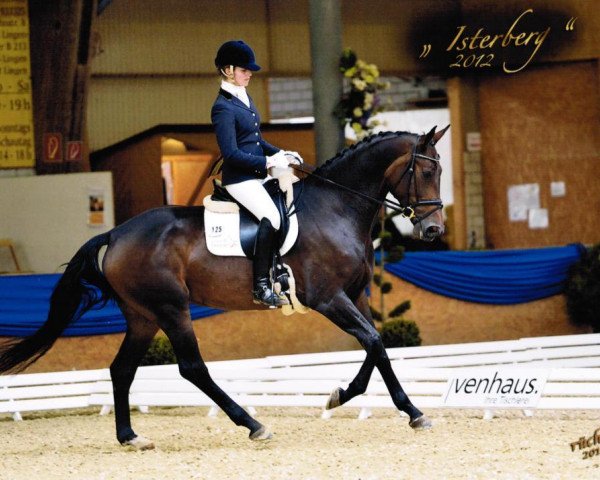 dressage horse Fräulein Fröhlich (Oldenburg, 2008, from Farewell III)