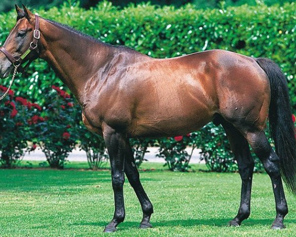 stallion Enrique xx (Thoroughbred, 1996, from Barathea xx)