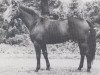 stallion Donar (Hanoverian, 1971, from Davos)
