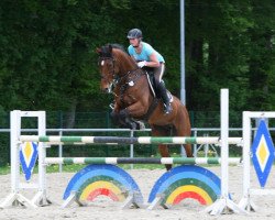 jumper Loredana 21 (Oldenburg show jumper, 2004, from Lucky Luke)