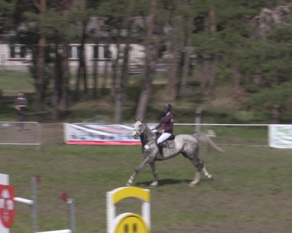 Reitturnier Colbitz 2022