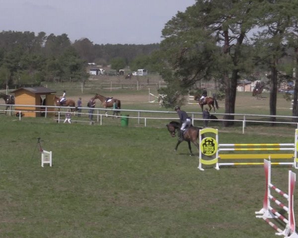 Reitturnier Colbitz 2022