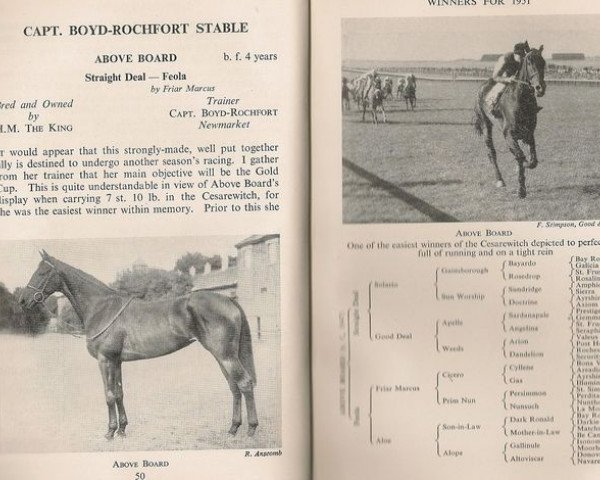 broodmare Above Board xx (Thoroughbred, 1947, from Straight Deal xx)