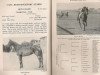 broodmare Above Board xx (Thoroughbred, 1947, from Straight Deal xx)