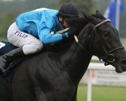 broodmare Nordtänzerin xx (Thoroughbred, 2003, from Danehill Dancer xx)