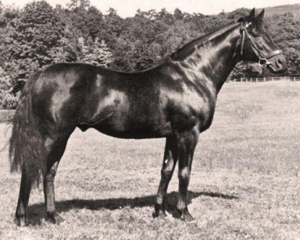 stallion Ticino xx (Thoroughbred, 1939, from Athanasius xx)