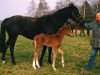 broodmare Wurfbahn xx (Thoroughbred, 1987, from Frontal xx)