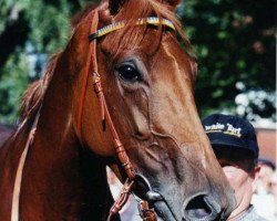 broodmare Wurftaube xx (Thoroughbred, 1993, from Acatenango xx)