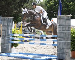 dressage horse Rubicon 44 (Hanoverian, 1998, from Rubinstein I)