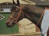 stallion Waidwerk xx (Thoroughbred, 1962, from Neckar xx)