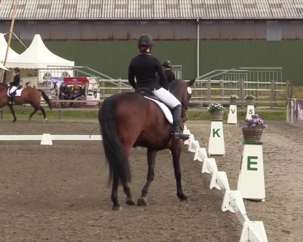 Reitturnier Kleinsolt 2022