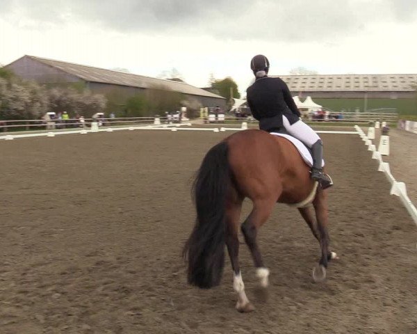 Reitturnier Kleinsolt 2022