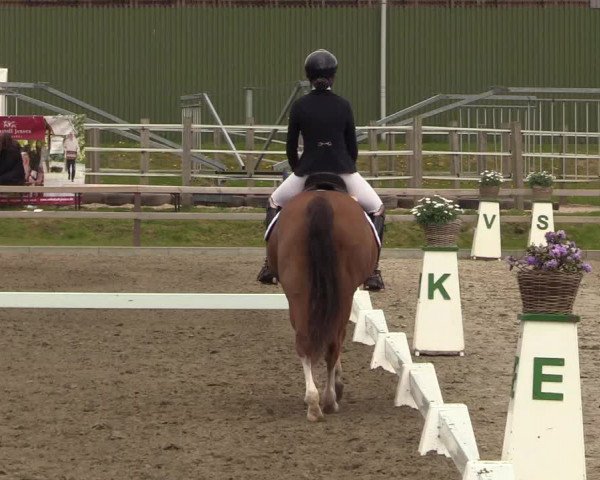Reitturnier Kleinsolt 2022