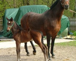 broodmare Femme Fatale (Westphalian, 1997, from Florestan I)