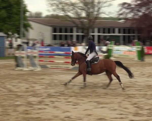 Reitturnier Spenge - Wallenbrück 2022